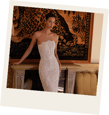 Client portal preview