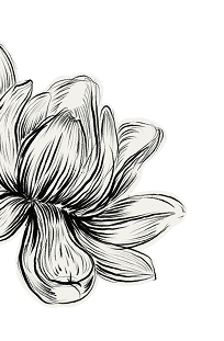 Decorative floral pattern