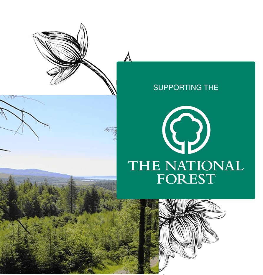 Supporting The National Forest