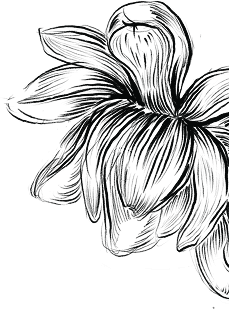 Decorative floral pattern