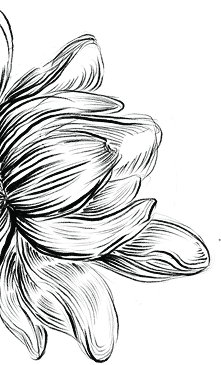 Decorative floral pattern