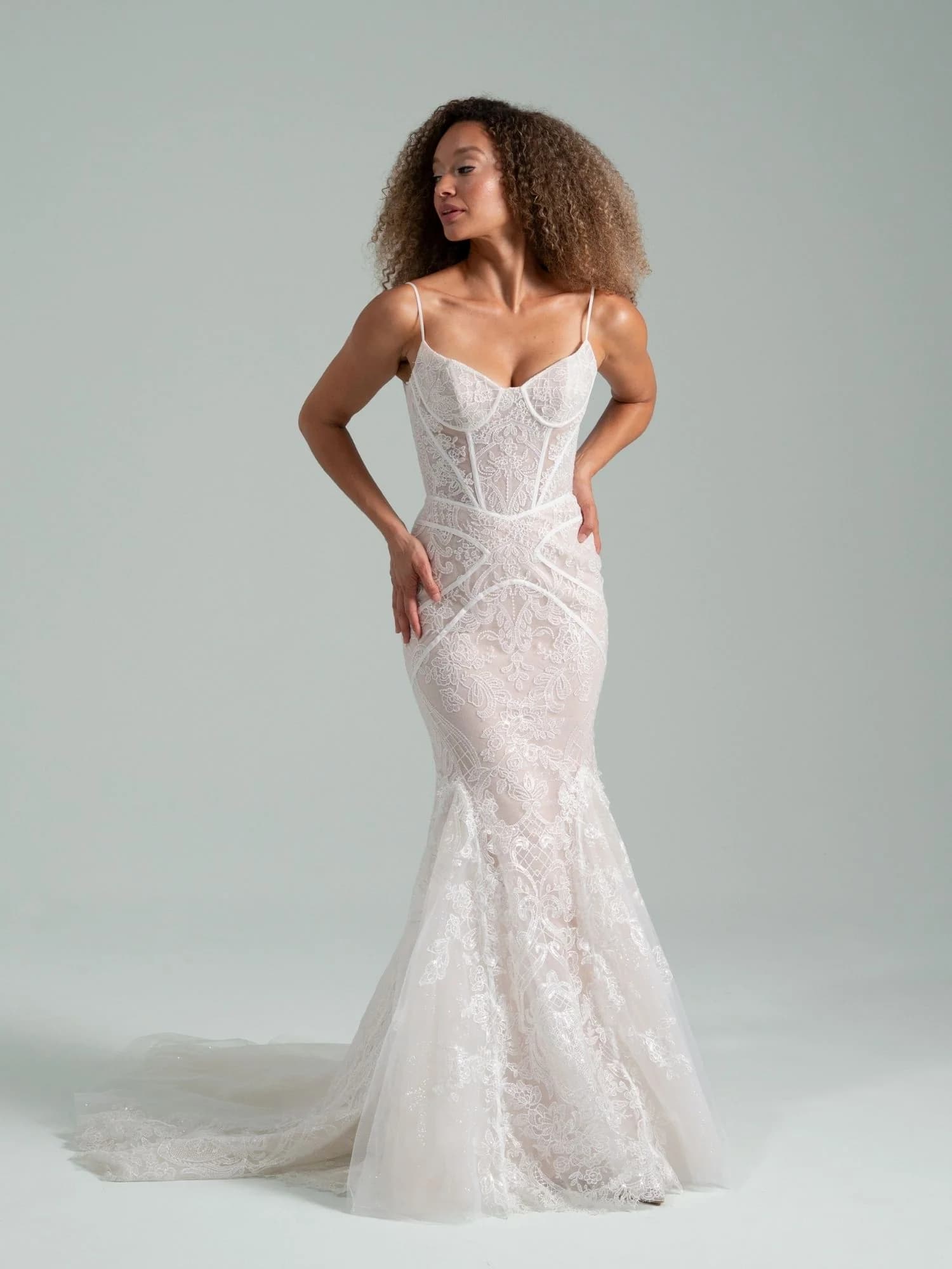 Chrysalis - Hayley Paige wedding dress by Hayley Paige Chrysalis
Ivory lace and tulle fit-to-flare gown with sweeth... view 1