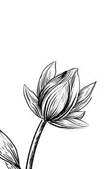 Decorative floral pattern