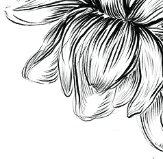 Decorative floral pattern