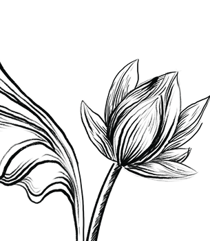 Decorative floral pattern