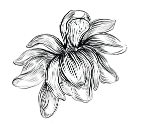 Decorative floral pattern